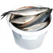 Hering sós lében 1 db kb 400g